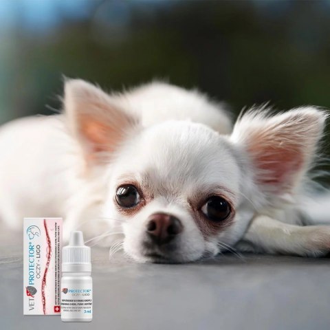 JM SANTE VET PROTECTOR OCZY LIGO krople do oczu 3ml JM Sante JM SANTE VET PROTECTOR OCZY LIGO krople do oczu 3ml JM Sante