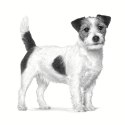 ROYAL CANIN Gastrointestinal Low Fat Small 1,5kg Royal Canin