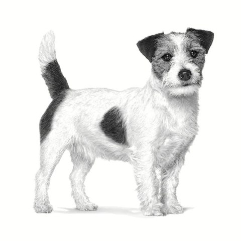 ROYAL CANIN Gastrointestinal Low Fat Small 1,5kg Royal Canin ROYAL CANIN Gastrointestinal Low Fat Small 1,5kg Royal Canin