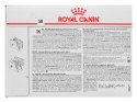 ROYAL CANIN Intestinal Gastro Moderate Calorie Cat - mokra karma dla kota - 12x85g Royal Canin