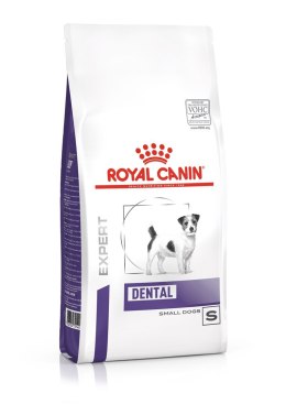 ROYAL CANIN SHN Adult Small Dog Dental & Digest - sucha karma dla dorosłych psów - 2 kg Royal Canin
