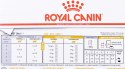 ROYAL CANIN Urinary Moderate Calorie - saszetka 12x85g Royal Canin