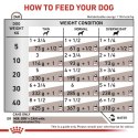 ROYAL CANIN VHN Dog Gastrointestinal Loaf 200g Royal Canin