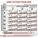 ROYAL CANIN VHN Dog Hepatic 7kg Royal Canin