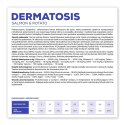 VetExpert Veterinary Diet Dermatosis dog Salmon&Potato 12kg VetExpert