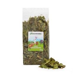 FACTORYHERBS Ziele topinamburu 100g Factoryherbs