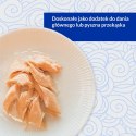 INABA Grilled Chicken Filet z kurczaka w bulionie o smaku przegrzebków - przysmak dla kota - 25 g INABA