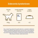 PURINA Cat Chow Kurczak, cukinia - mokra karma dla kota - 10x85 g PURINA NESTLE