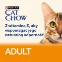 PURINA Cat Chow Kurczak, cukinia - mokra karma dla kota - 10x85 g PURINA NESTLE