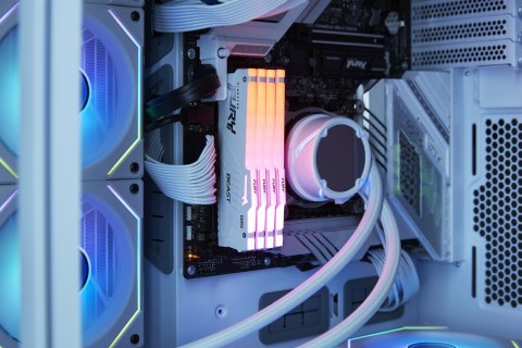 Kingston FURY DDR5 32GB (1x32GB) 6000MHz CL36 Beast White RGB EXPO Kingston Kingston FURY DDR5 32GB (1x32GB) 6000MHz CL36 Beast White RGB EXPO Kingston
