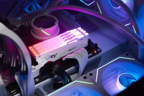 Kingston FURY DDR5 32GB (1x32GB) 6000MHz CL36 Beast White RGB EXPO Kingston Kingston FURY DDR5 32GB (1x32GB) 6000MHz CL36 Beast White RGB EXPO Kingston