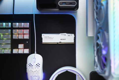 Kingston FURY DDR5 32GB (1x32GB) 6000MHz CL36 Beast White RGB EXPO Kingston Kingston FURY DDR5 32GB (1x32GB) 6000MHz CL36 Beast White RGB EXPO Kingston