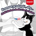 PURINA FELIX Deli Moments Salmon 4x10g PURINA NESTLE