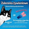 PURINA FELIX Deli Moments Salmon 4x10g PURINA NESTLE