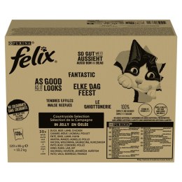 PURINA FELIX FANTASTIC Mix Wiejskie smaki 120x85g PURINA NESTLE