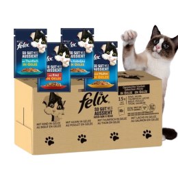 PURINA Felix MIX Smaków - mokra karma dla kota - 120x85 g PURINA NESTLE
