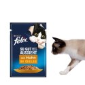 PURINA Felix MIX Smaków - mokra karma dla kota - 120x85 g PURINA NESTLE