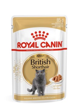 ROYAL CANIN FBN British Shorthair Adult - mokra karma dla dorosłego kota - 12x85g Royal Canin