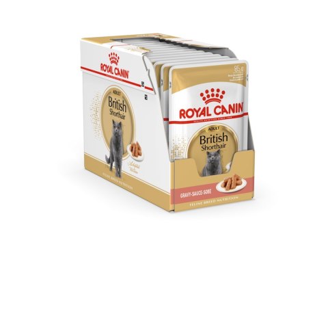 ROYAL CANIN FBN British Shorthair Adult - mokra karma dla dorosłego kota - 12x85g Royal Canin ROYAL CANIN FBN British Shorthair Adult - mokra karma dla dorosłego kota - 12x85g Royal Canin