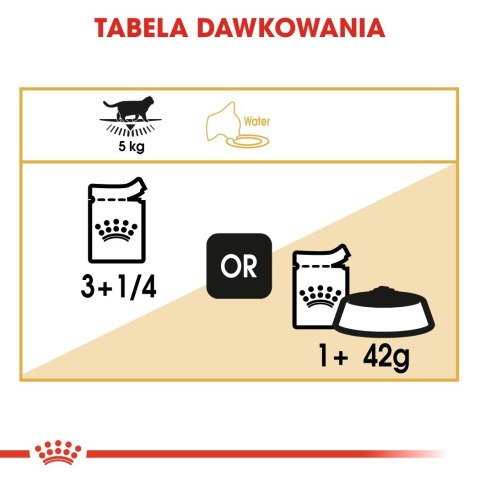 ROYAL CANIN FBN British Shorthair Adult - mokra karma dla dorosłego kota - 12x85g Royal Canin ROYAL CANIN FBN British Shorthair Adult - mokra karma dla dorosłego kota - 12x85g Royal Canin