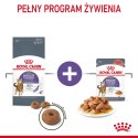 ROYAL CANIN FCN Appetite Control w sosie - mokra karma dla kota dorosłego - 12x85g Royal Canin