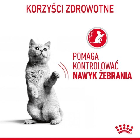 ROYAL CANIN FCN Appetite Control w sosie - mokra karma dla kota dorosłego - 12x85g Royal Canin ROYAL CANIN FCN Appetite Control w sosie - mokra karma dla kota dorosłego - 12x85g Royal Canin
