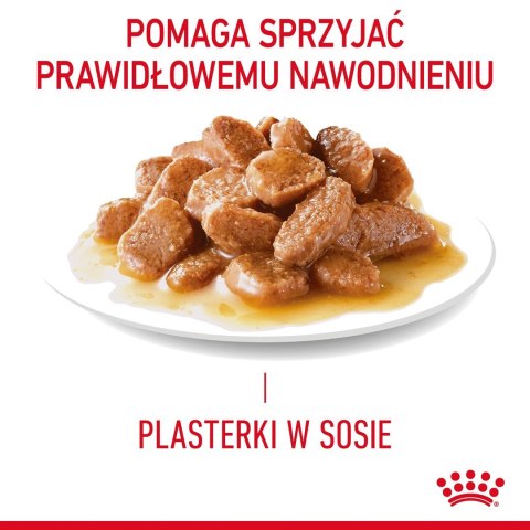 ROYAL CANIN FCN Appetite Control w sosie - mokra karma dla kota dorosłego - 12x85g Royal Canin ROYAL CANIN FCN Appetite Control w sosie - mokra karma dla kota dorosłego - 12x85g Royal Canin