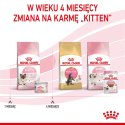 ROYAL CANIN FHN Babycat Instinctive Feline mus - mokra karma dla kociąt - puszka - 195 g Royal Canin