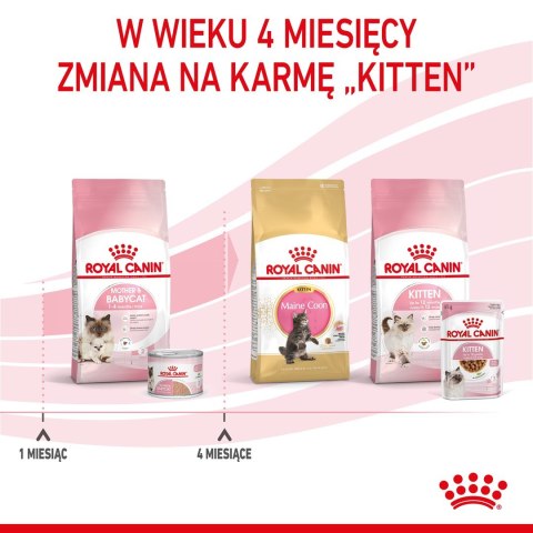 ROYAL CANIN FHN Babycat Instinctive Feline mus - mokra karma dla kociąt - puszka - 195 g Royal Canin ROYAL CANIN FHN Babycat Instinctive Feline mus - mokra karma dla kociąt - puszka - 195 g Royal Canin