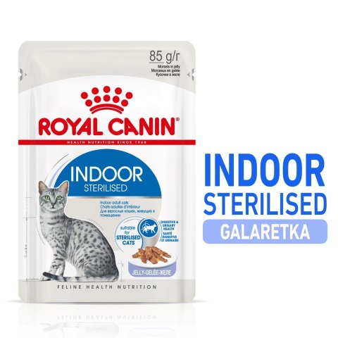 ROYAL CANIN FHN Indoor w galaretce - mokra karma dla kota dorosłego - 12x85 g Royal Canin ROYAL CANIN FHN Indoor w galaretce - mokra karma dla kota dorosłego - 12x85 g Royal Canin
