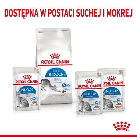 ROYAL CANIN FHN Indoor w galaretce - mokra karma dla kota dorosłego - 12x85 g Royal Canin ROYAL CANIN FHN Indoor w galaretce - mokra karma dla kota dorosłego - 12x85 g Royal Canin