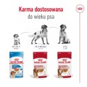 ROYAL CANIN SHN Medium Adult w sosie - mokra karma dla psa dorosłego - 10x140 g Royal Canin