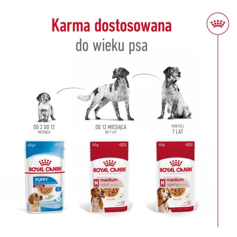 ROYAL CANIN SHN Medium Adult w sosie - mokra karma dla psa dorosłego - 10x140 g Royal Canin