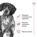 ROYAL CANIN SHN Medium Adult w sosie - mokra karma dla psa dorosłego - 10x140 g Royal Canin