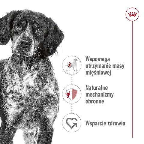 ROYAL CANIN SHN Medium Adult w sosie - mokra karma dla psa dorosłego - 10x140 g Royal Canin