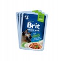 Brit Premium dla kotów sterylizowanych saszetki w sosie mix smaków 12x85 Brit