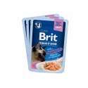 Brit Premium dla kotów sterylizowanych saszetki w sosie mix smaków 12x85 Brit