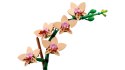 LEGO ICONS 10343 Botanicals - Mała orchidea Lego