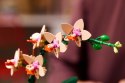 LEGO ICONS 10343 Botanicals - Mała orchidea Lego