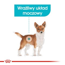ROYAL CANIN Mini Urinary Care CCN - sucha karma dla psa - 3kg Royal Canin