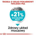 ROYAL CANIN Mini Urinary Care CCN - sucha karma dla psa - 3kg Royal Canin