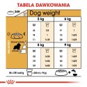 ROYAL CANIN BHN Cavalier King Charles Spaniel Adult - sucha karma dla psa dorosłego - 1,5kg Royal Canin