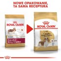 ROYAL CANIN BHN Cavalier King Charles Spaniel Adult - sucha karma dla psa dorosłego - 1,5kg Royal Canin