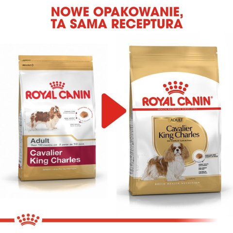 ROYAL CANIN BHN Cavalier King Charles Spaniel Adult - sucha karma dla psa dorosłego - 1,5kg Royal Canin ROYAL CANIN BHN Cavalier King Charles Spaniel Adult - sucha karma dla psa dorosłego - 1,5kg Royal Canin