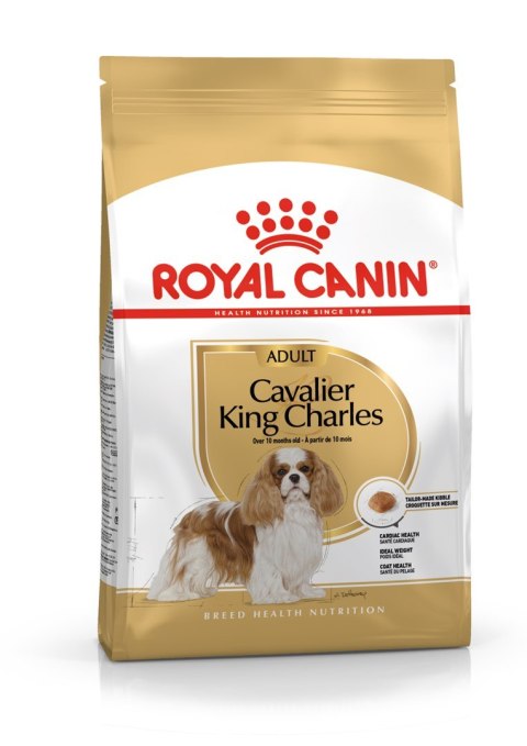 ROYAL CANIN BHN Cavalier King Charles Spaniel Adult - sucha karma dla psa dorosłego - 1,5kg Royal Canin ROYAL CANIN BHN Cavalier King Charles Spaniel Adult - sucha karma dla psa dorosłego - 1,5kg Royal Canin