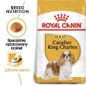 ROYAL CANIN BHN Cavalier King Charles Spaniel Adult - sucha karma dla psa dorosłego - 1,5kg Royal Canin