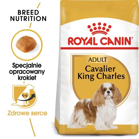 ROYAL CANIN BHN Cavalier King Charles Spaniel Adult - sucha karma dla psa dorosłego - 1,5kg Royal Canin ROYAL CANIN BHN Cavalier King Charles Spaniel Adult - sucha karma dla psa dorosłego - 1,5kg Royal Canin