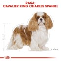 ROYAL CANIN BHN Cavalier King Charles Spaniel Adult - sucha karma dla psa dorosłego - 1,5kg Royal Canin