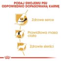 ROYAL CANIN BHN Cavalier King Charles Spaniel Adult - sucha karma dla psa dorosłego - 1,5kg Royal Canin