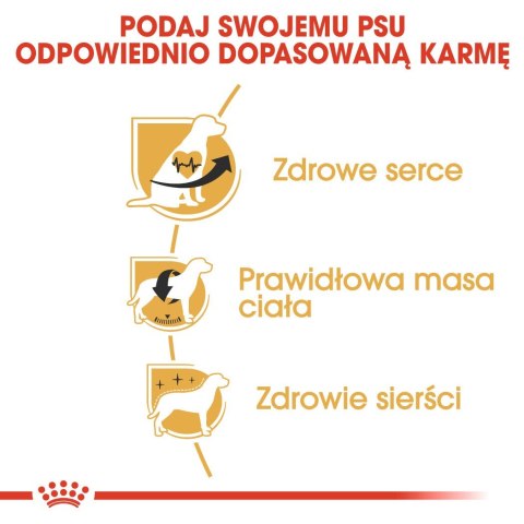 ROYAL CANIN BHN Cavalier King Charles Spaniel Adult - sucha karma dla psa dorosłego - 1,5kg Royal Canin ROYAL CANIN BHN Cavalier King Charles Spaniel Adult - sucha karma dla psa dorosłego - 1,5kg Royal Canin